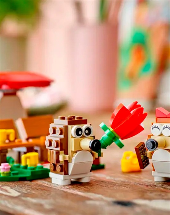 40711 Pindsvineskovtur 